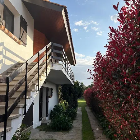 Alma Calorosa Sea View