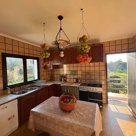 Alma Calorosa Sea View