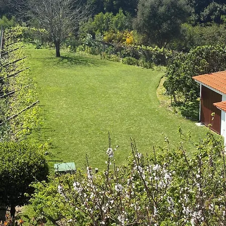 Alma Calorosa Sea View *