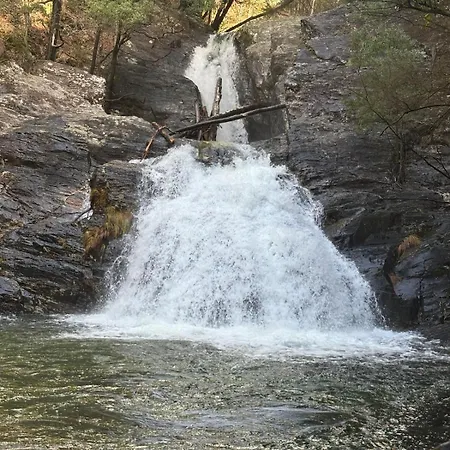 Alma Calorosa Sea View *