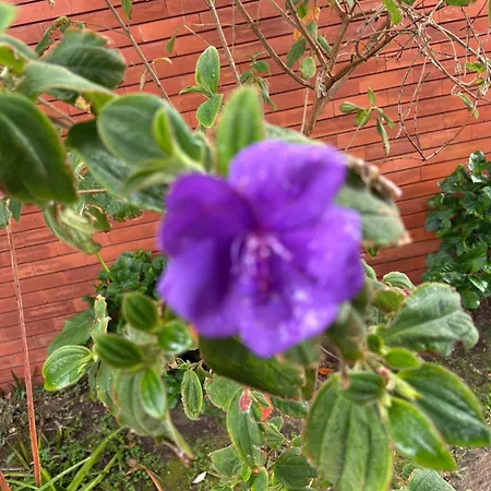 Апартаменты Alma Calorosa Sea View