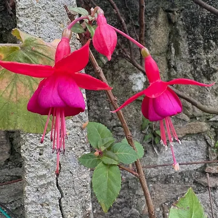 Alma Calorosa Sea View Апартаменты