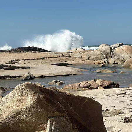 Alma Calorosa Sea View * Bicas