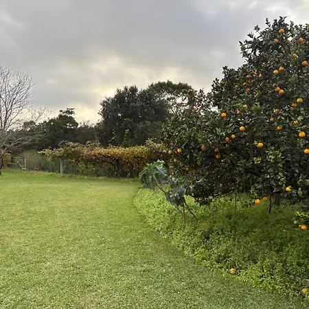 Alma Calorosa Sea View Apartment *