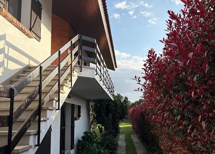 Alma Calorosa Sea View