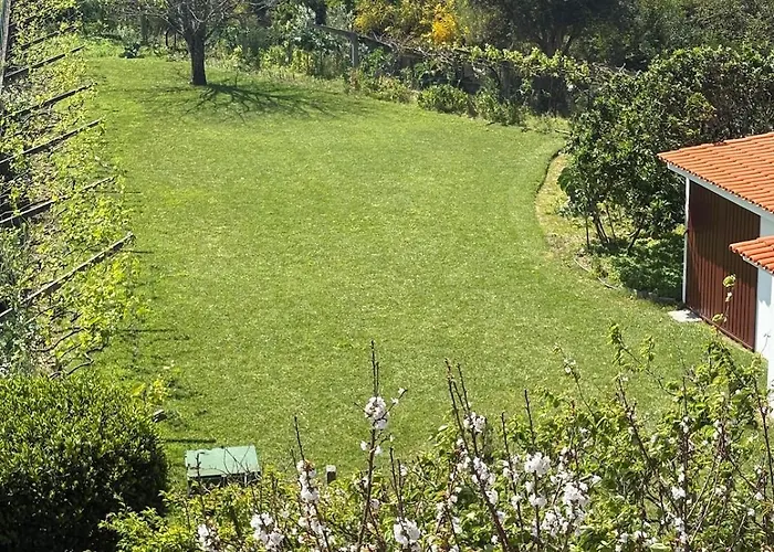 Alma Calorosa Sea View *