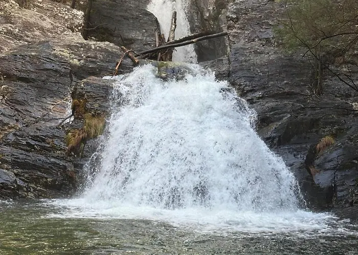 Alma Calorosa Sea View *