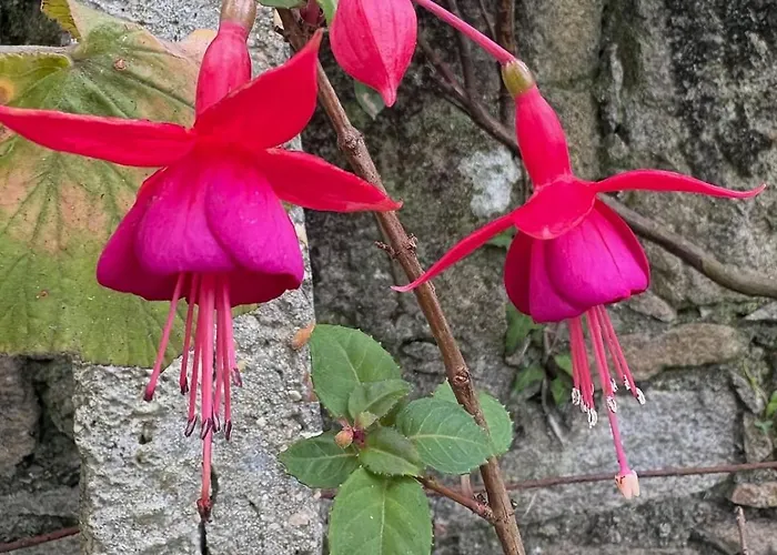 Alma Calorosa Sea View דירה