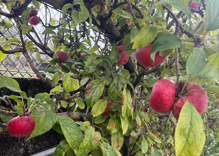 דירה Alma Calorosa Sea View Bicas