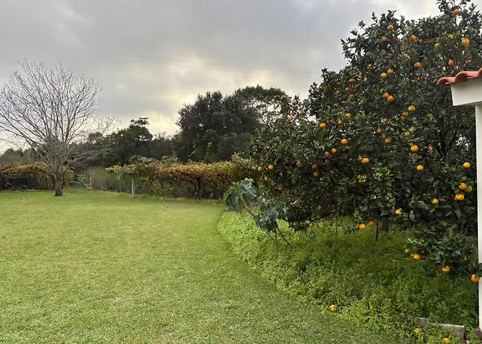 Alma Calorosa Sea View 아파트 *